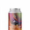 dingle can of cool kid from 2 crows brewing