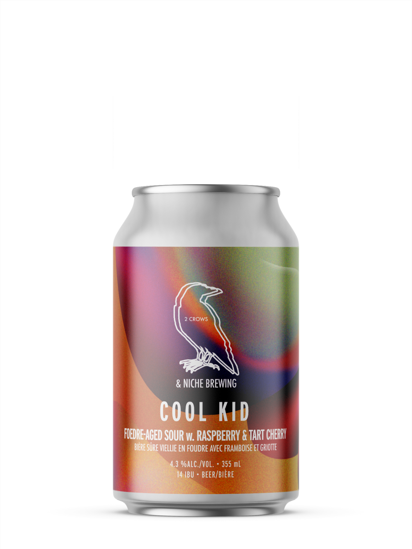 dingle can of cool kid from 2 crows brewing